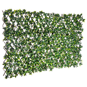 TREILLIS EXTENSIBLE FEUILLES DE JASMIN 1X2 M
