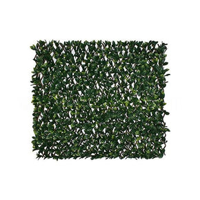 TREILLIS EXTENSIBLE FEUILLES DE IVY 1X2M